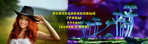 стаф Верхний Тагил